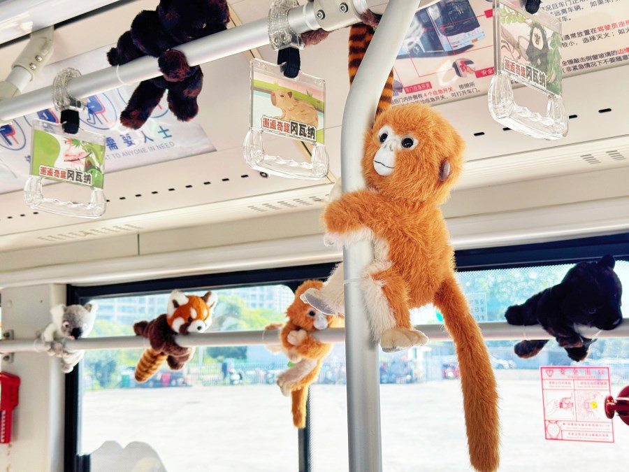 cb22b1fdf419e8403e5ce51cc695a1c.jpg cb22b1fdf419e8403e5ce51cc695a1c.jpg